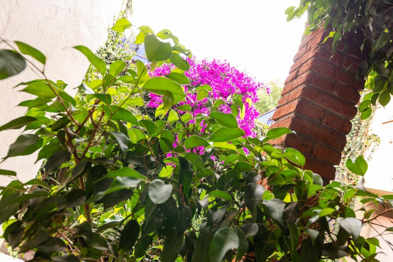 Meztli: Casa Boutique & Spa Città del Messico Esterno foto